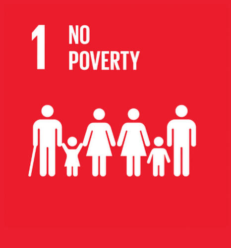 Capricorn Power is committed to the United Nations Sustainable Development Goal #1 where the Capricorn Power Barton Heat Engine allows communities and countries to use renewable resources to generate their own electricity, preserving funds and alleviating poverty.