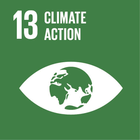 Capricorn Power is committed to the United Nations Sustainable Development Goal #13 by supporting the global community take action on the Climate Crisis with their solutions.