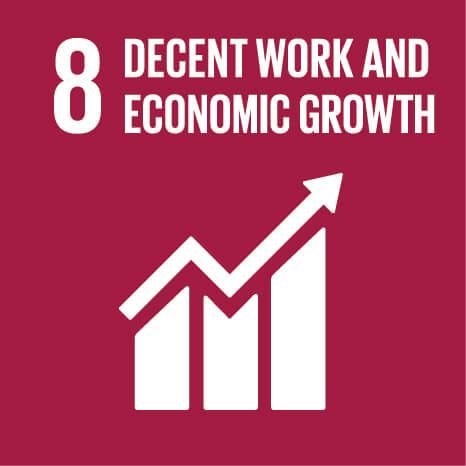 Capricorn Power is committed to the United Nations Sustainable Development Goal #8 to promote sustained, inclusive and sustainable economic growth, full and productive employment and decent work for all