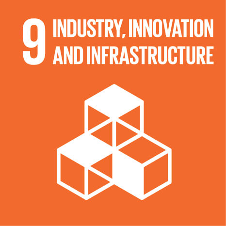 Capricorn Power is committed to the United Nations Sustainable Development Goal #9 to build resilient infrastructure, promote inclusive and sustainable industrialisation and foster innovation