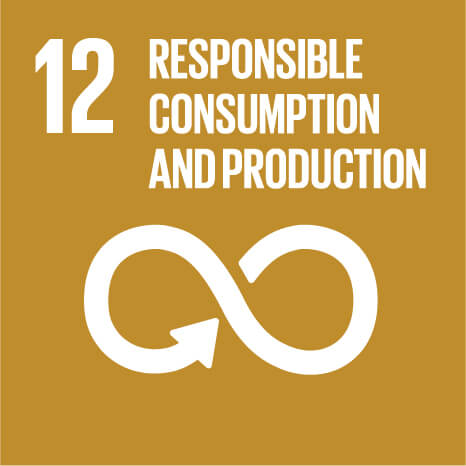 Capricorn Power is committed to the United Nations Sustainable Development Goal #12 to ensure sustainable consumption and production patterns