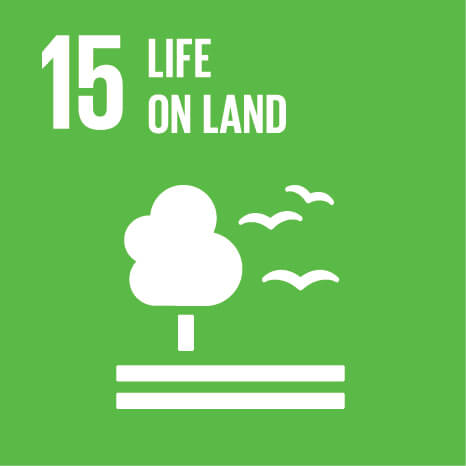 Capricorn Power is committed to the United Nations Sustainable Development Goal #15 to sustainably manage forests, combat desertification, halt and reverse land degradation, halt biodiversity loss.